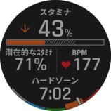 スタミナ関連機能