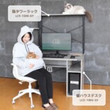 猫デスク環境