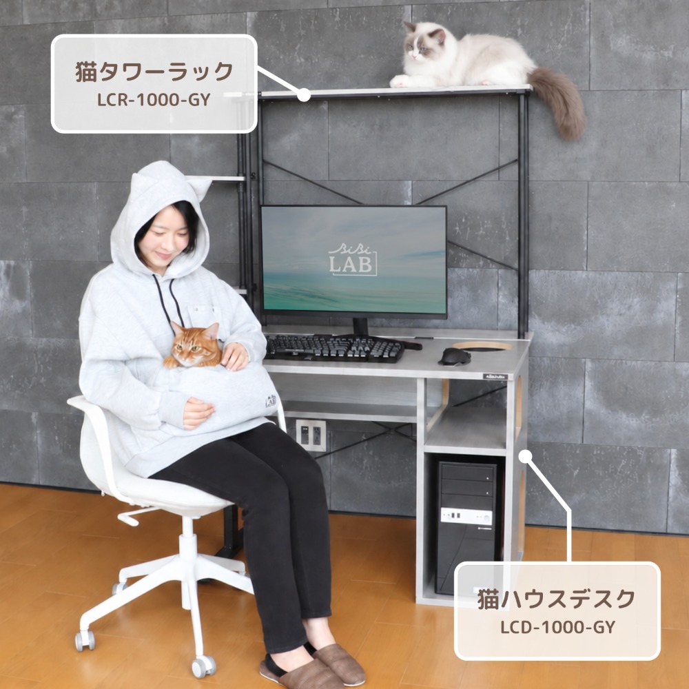 猫デスク環境