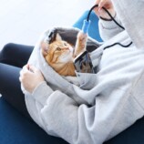 すっぽり入っている様子