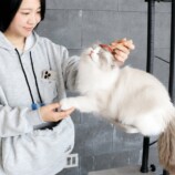 使用イメージ