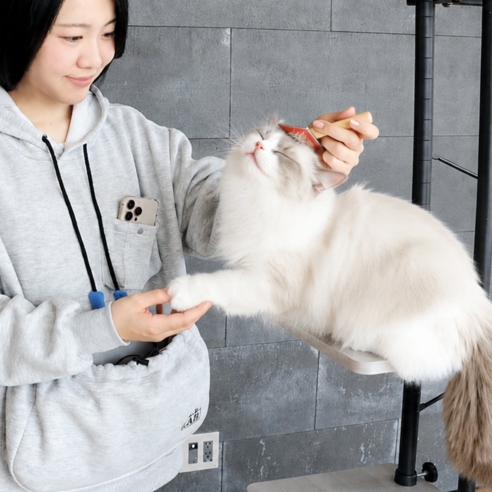 使用イメージ