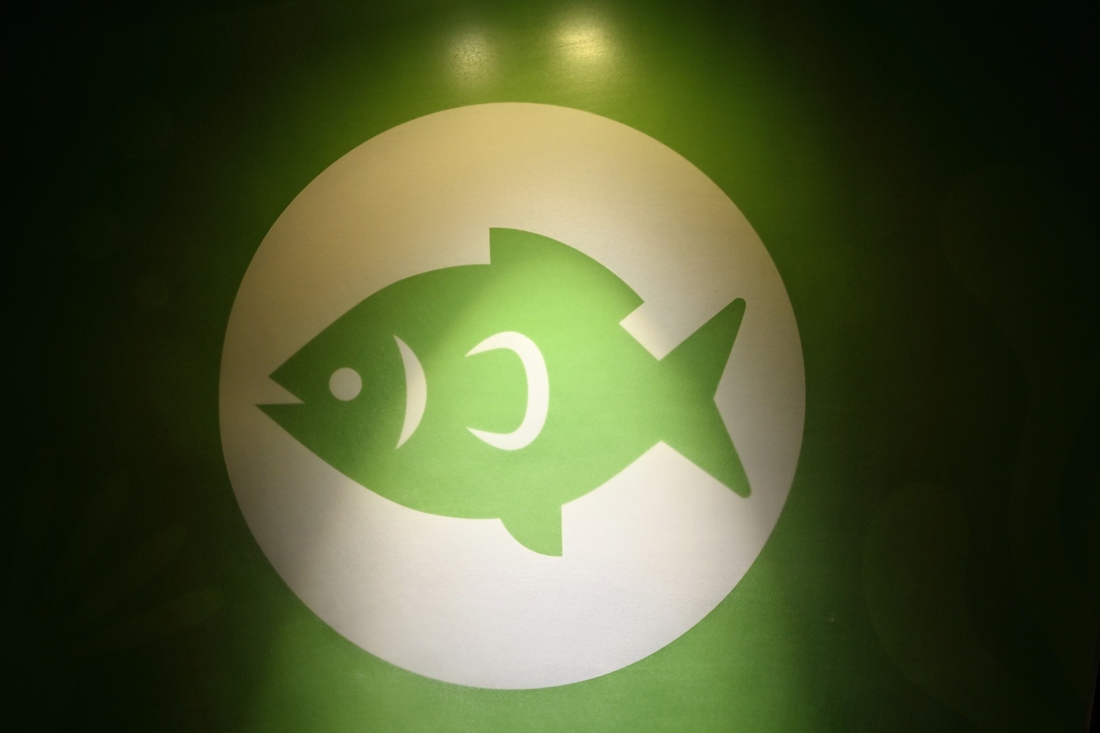 館内案内図の魚