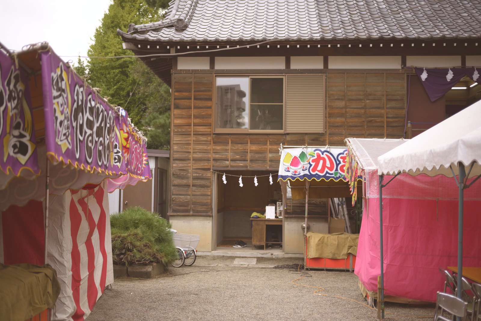 ドリーム