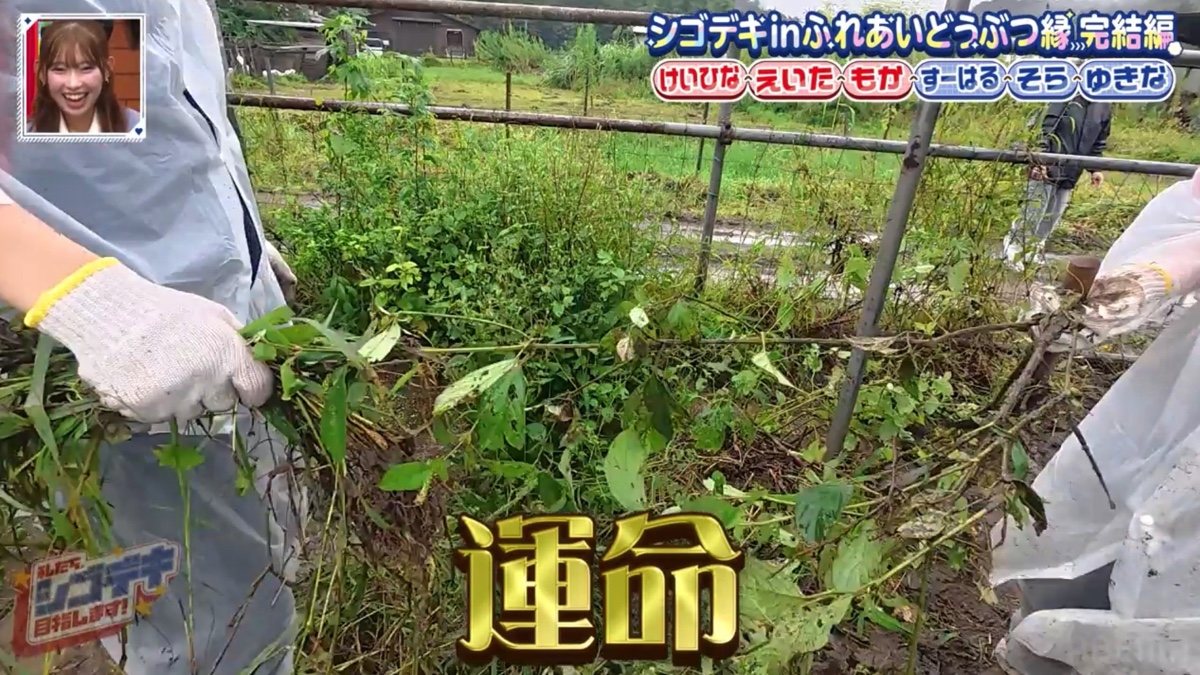 『すーぱーのびしろたいむ』#77