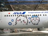 ANA『ちいかわジェット』運航開始の画像