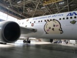 ANA『ちいかわジェット』運航開始の画像
