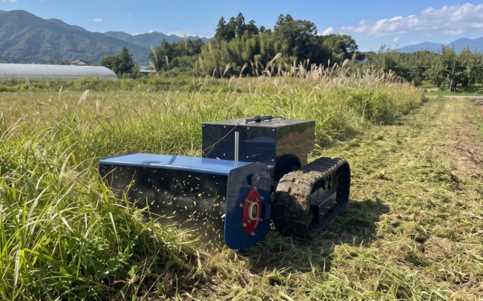 除草作業の様子
