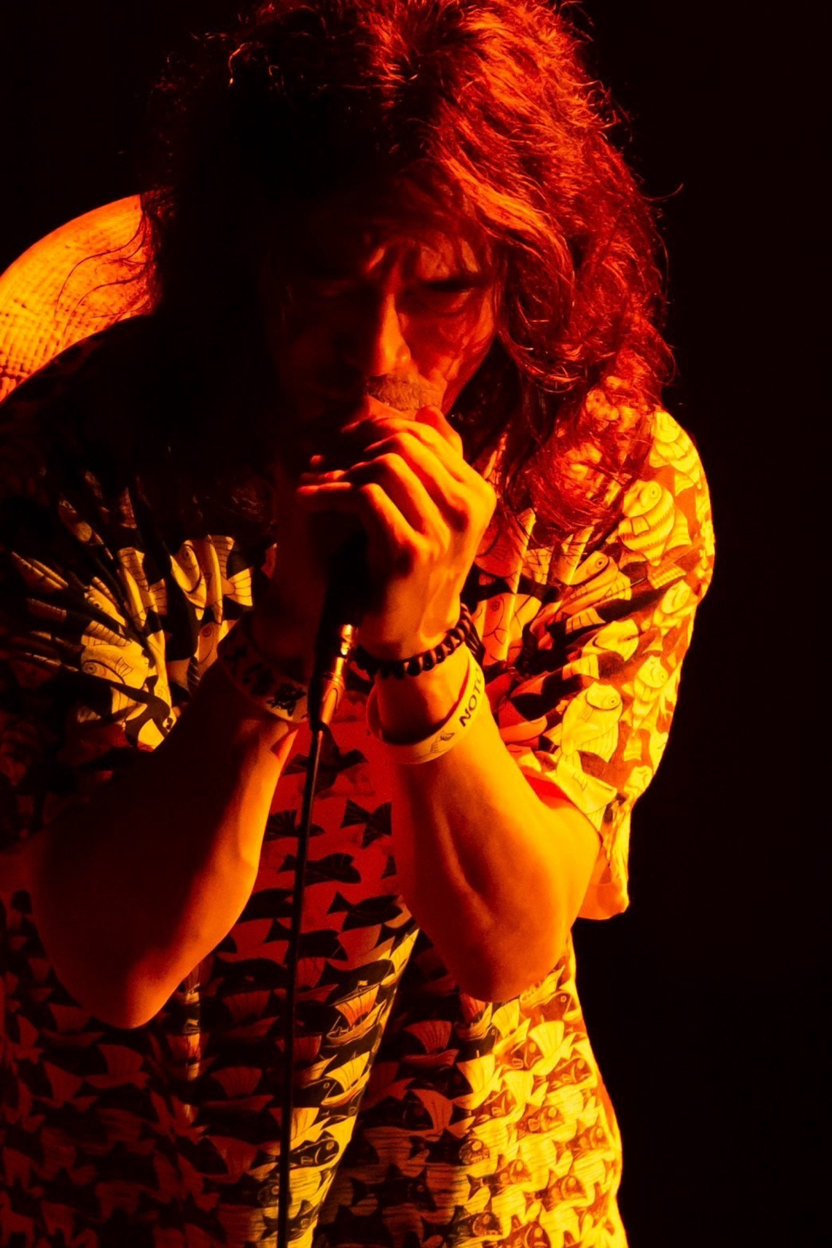 G-FREAK FACTORY『Path to 30th TOUR “TOMOSHIBI” -燈/灯-』(写真=上坂和也)