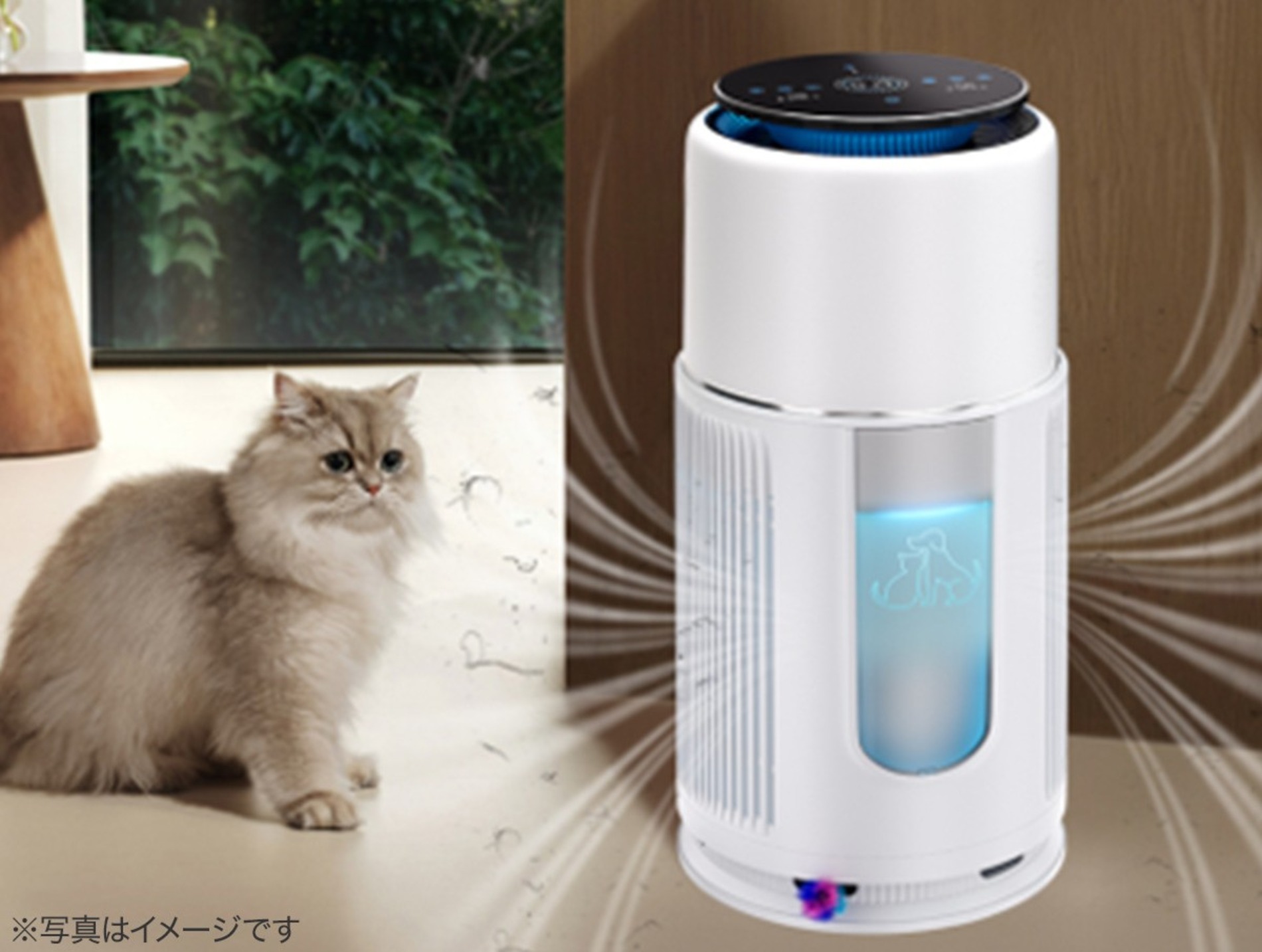 ニトリから猫が遊べる『ペット空気清浄機』の画像
