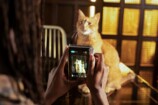 『instax mini Evo 2』11月27日発売の画像