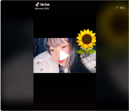 まだ遅くないTikTok入門 “かわいい/かっこいい”から“面白い”まで、人気TikToker9組を紹介